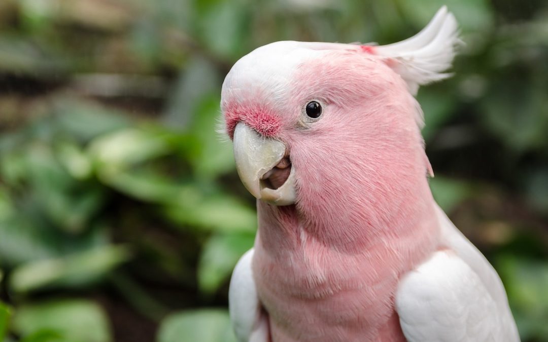 How to Avoid Self-Promotion (And Have Clients Recommend You Instead)